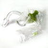 Quartz Banger Kit with Color Carb caps Terp Pearls - Image 5